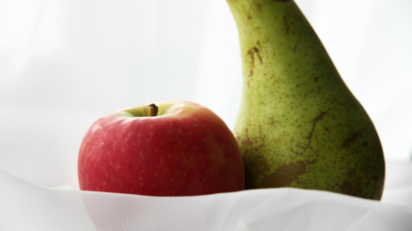 Vergelijking, foto door Melanie Dijkstra via Unsplash