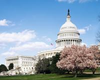 The US Capitol in Washington, home to the Senate and House of Representatives. All 435 House seats and 35 Senate seats are up for election in this year’s midterms. Photo: Rawpixel.