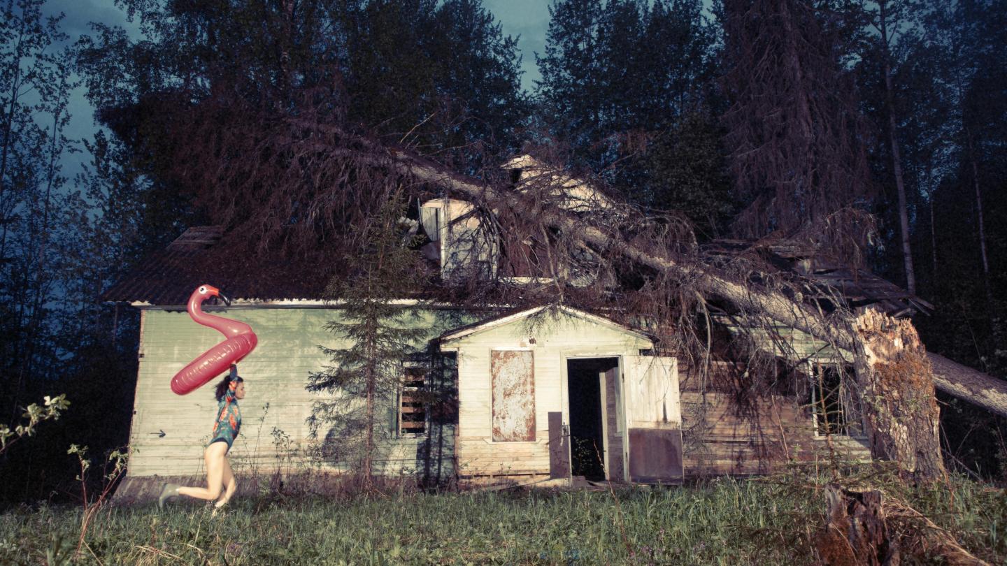 Pexels-dmitry-daltonik