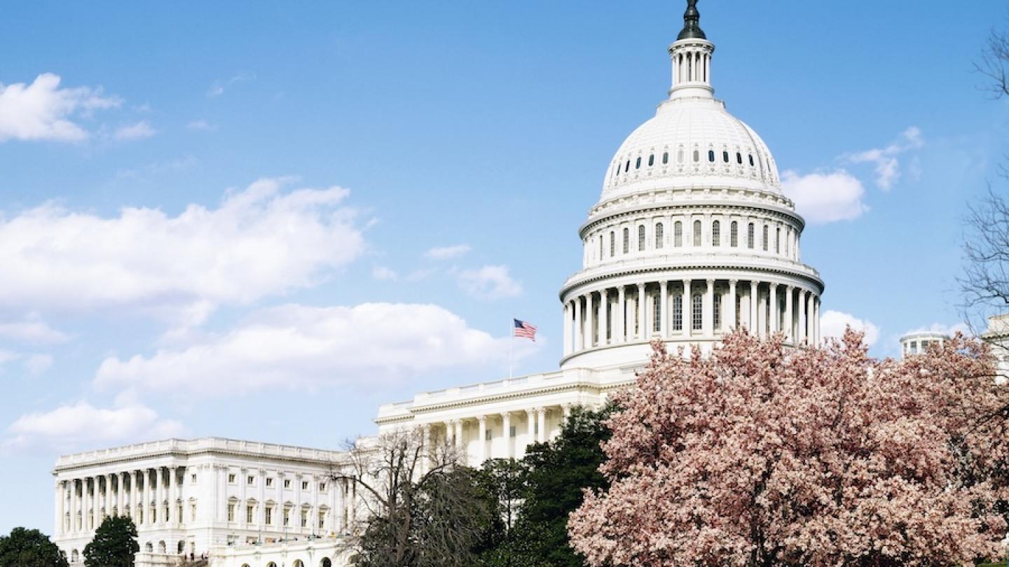 The US Capitol in Washington, home to the Senate and House of Representatives. All 435 House seats and 35 Senate seats are up for election in this year’s midterms. Photo: Rawpixel.