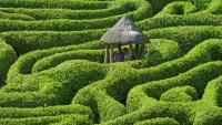A maze in England. Photo: Tim Green via Flickr.