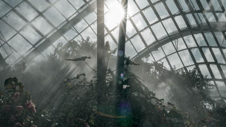 Foto Biodiversiteit