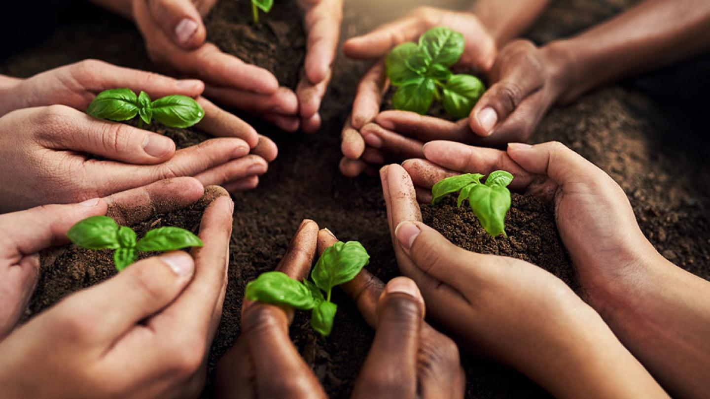AXA IM: The resource gap: Why Earth Overshoot Day should matter to investors