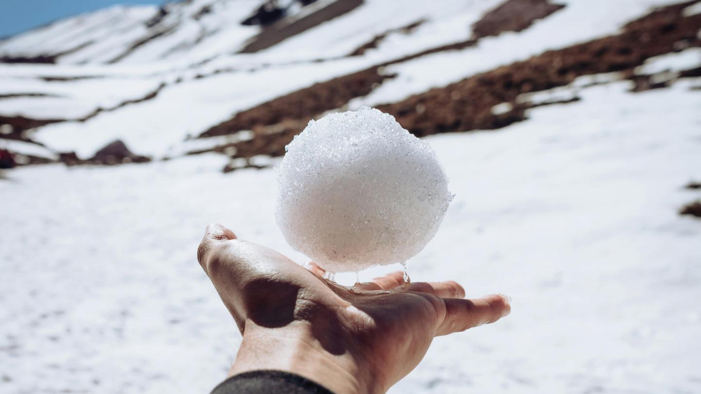 Snowball - Andres Alaniz - Pexels