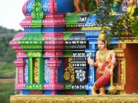 Sharath G. via Pexels - India