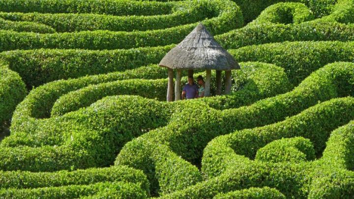 A maze in England. Photo: Tim Green via Flickr.