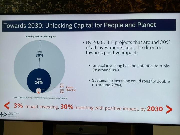 Prognoses impactbeleggen IFB