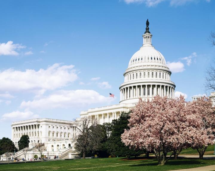 The US Capitol in Washington, home to the Senate and House of Representatives. All 435 House seats and 35 Senate seats are up for election in this year’s midterms. Photo: Rawpixel.