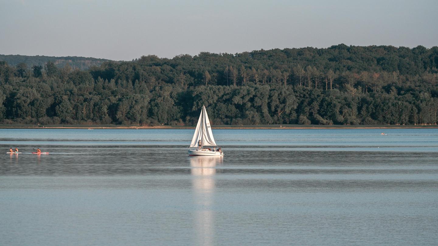 Sail - Pexels - Omar Ramadan