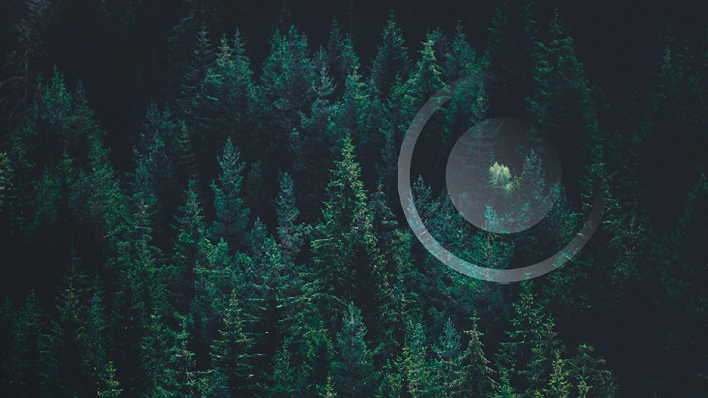 ODDO BHF AM: Long-term reasons to invest in value equity funds