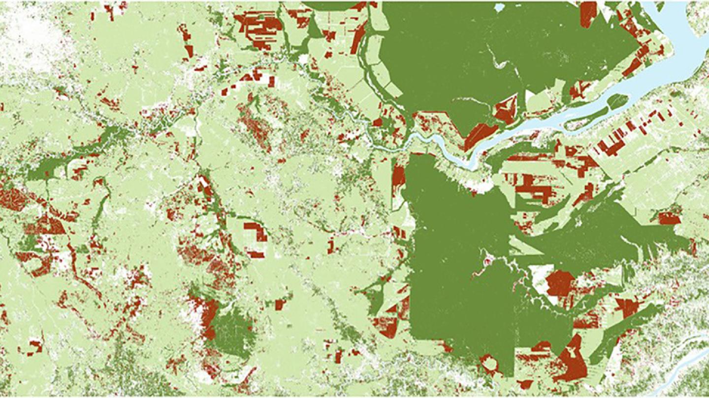 Robeco: Premiers pas vers une industrie de l'huile de palme durable