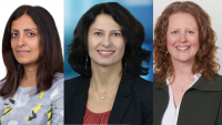 Sagar Sonal, Marzena Hofrichter, Georgina Taylor