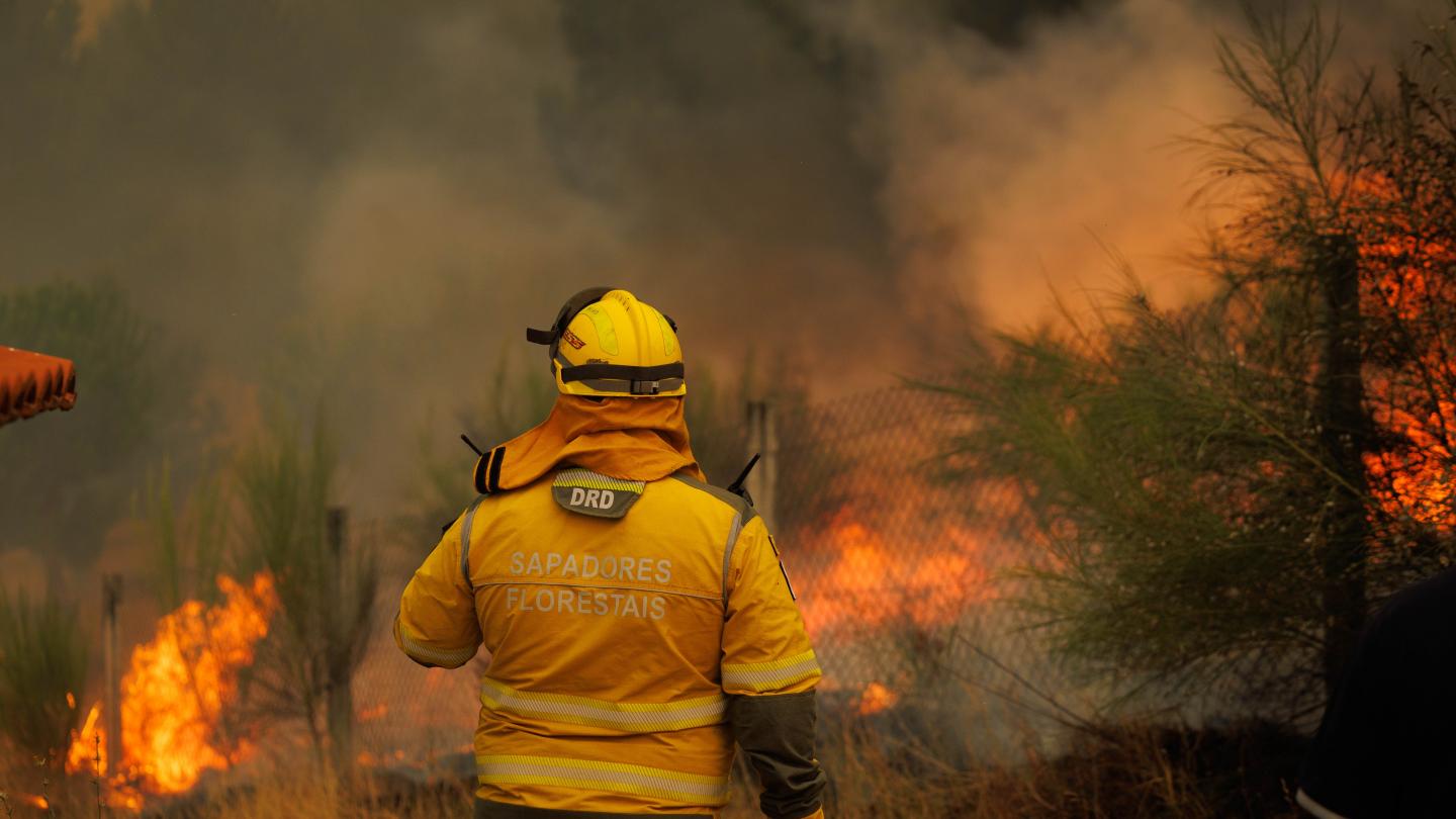 Natuurbrand in Portugal, juli 2026. Foto: EPA/PEDRO SARMENTO COSTA