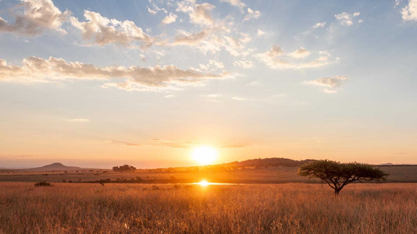 Energy transition: take action now!