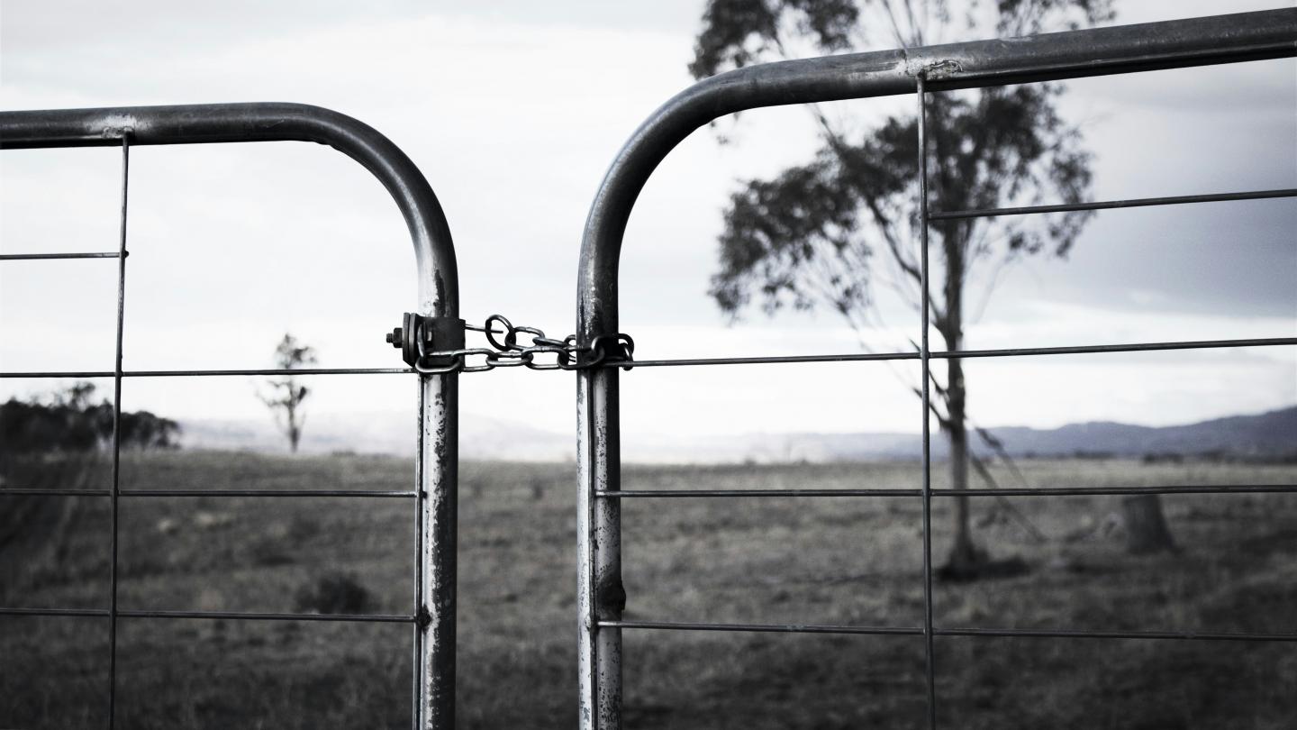 Gate: Credit: Elaine Alex / Unsplash