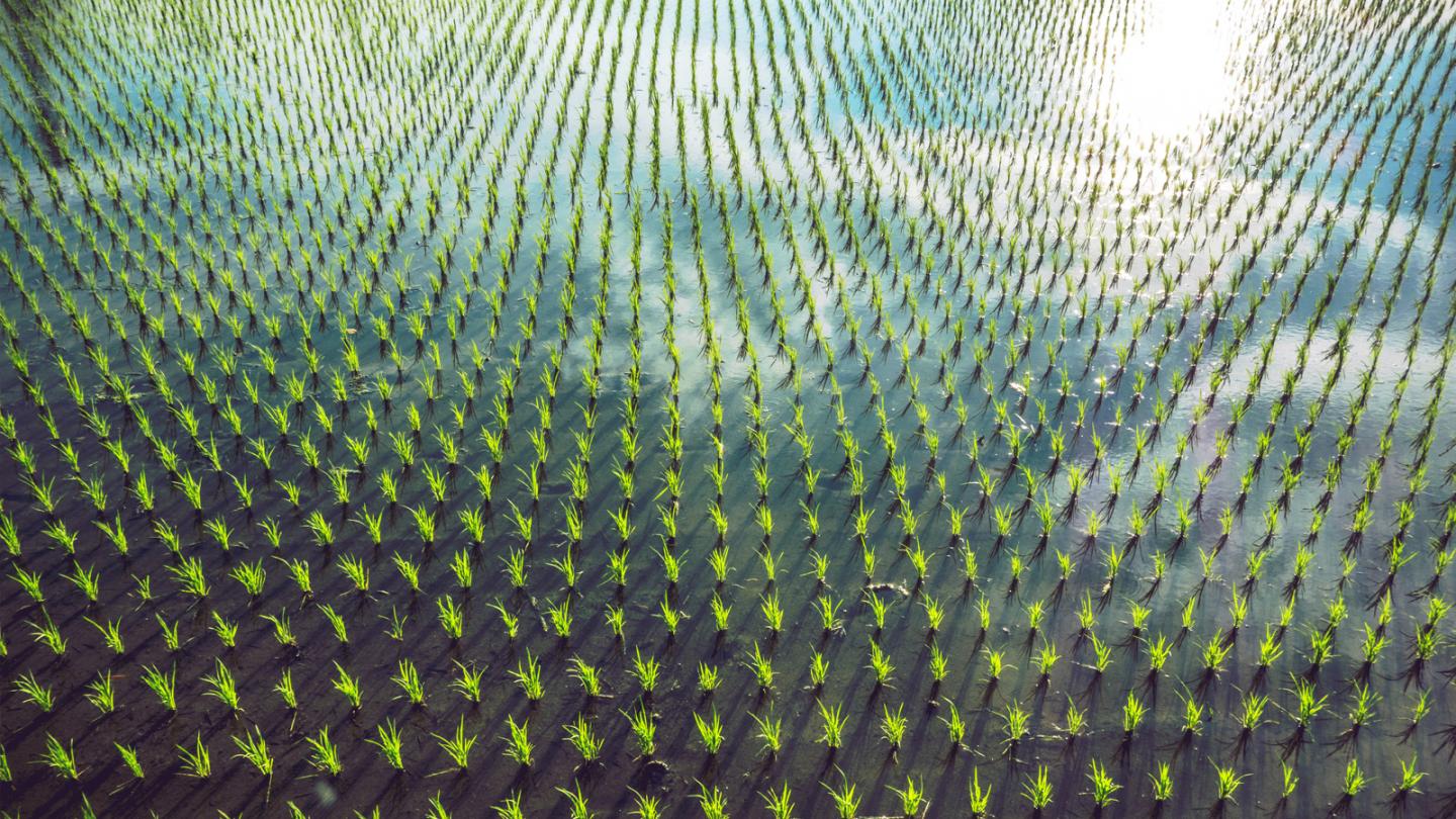 Pictet AM: Investissement responsable, les preuves s'accumulent