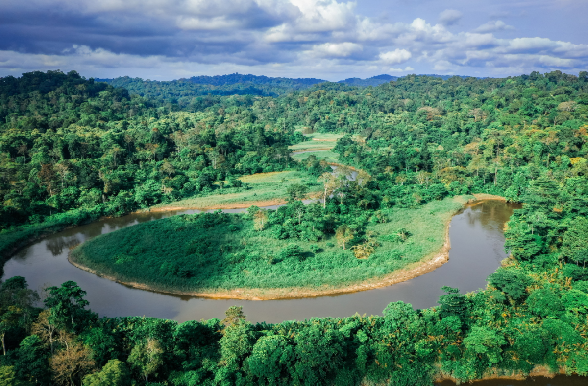 Conkouati-Douli National Park in Congo.