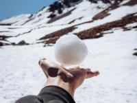 Snowball - Andres Alaniz - Pexels