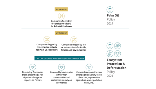 Deforestation policy