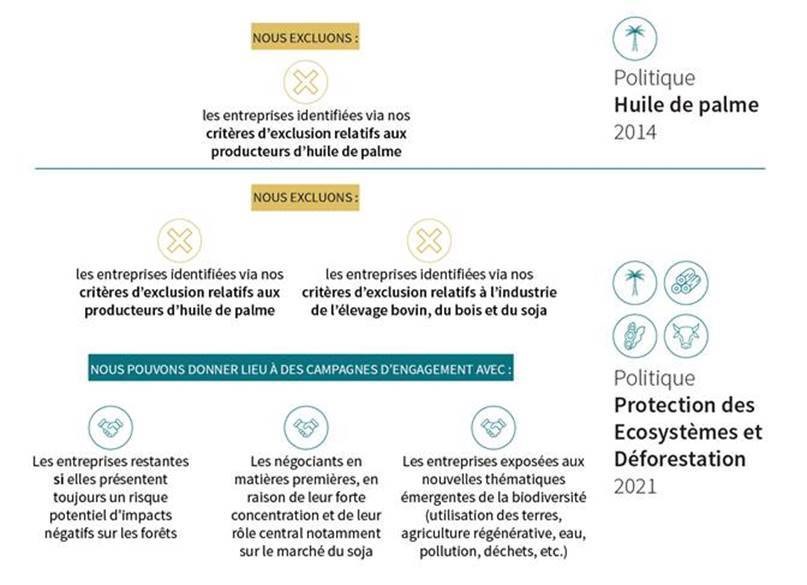 Deforestation policy