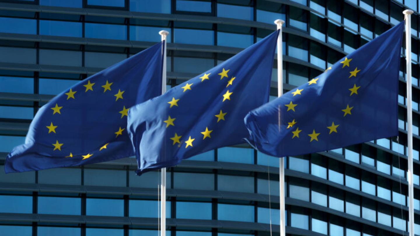 European flag in Strasbourg. Photo: Philippe Buissin, EU. 