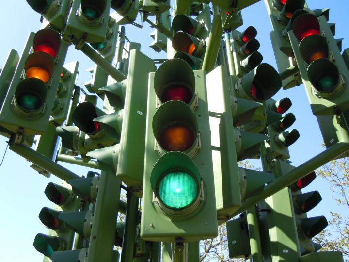 Traffic light tree. Photo via Flickr (CC BY 2.0)