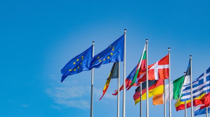 EU flags at the European Parliament. Photo: EU.