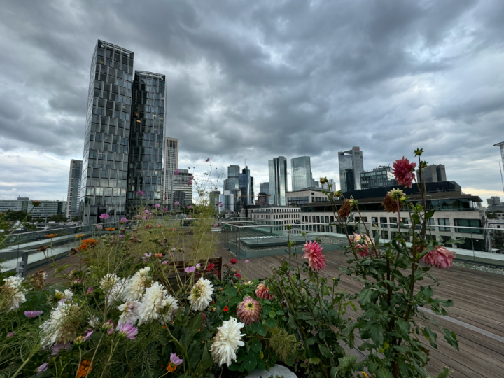 Het bankendistrict van Frankfurt. Foto: IO.