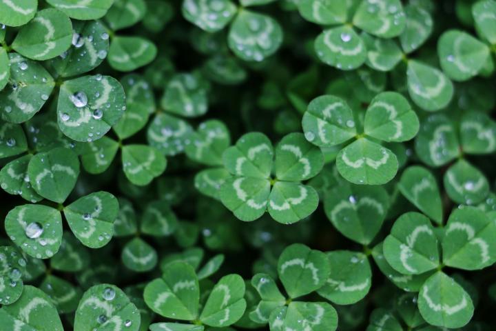 Ireland