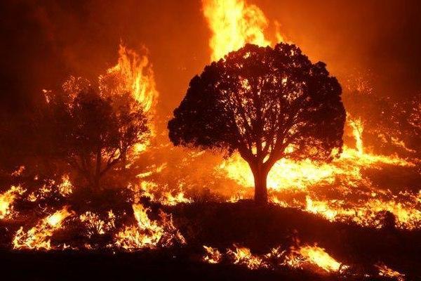 Wildfires in the United States. Photo via Wikimedia.