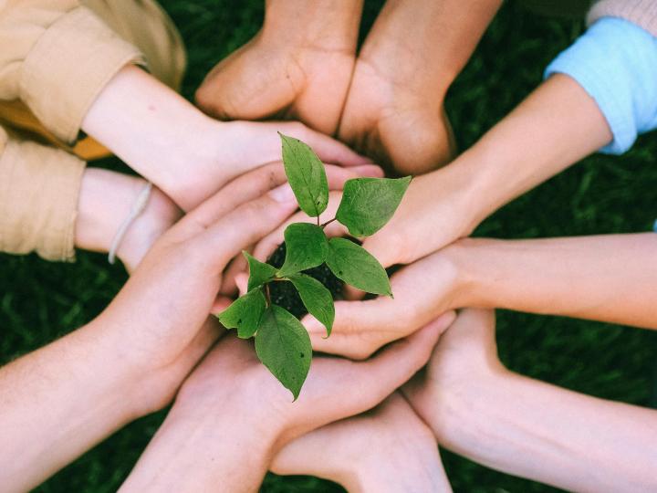 Foto door Anna Shvets: https://www.pexels.com/nl-nl/foto/handen-mensen-milieuvriendelijk-grasveld-5029919/