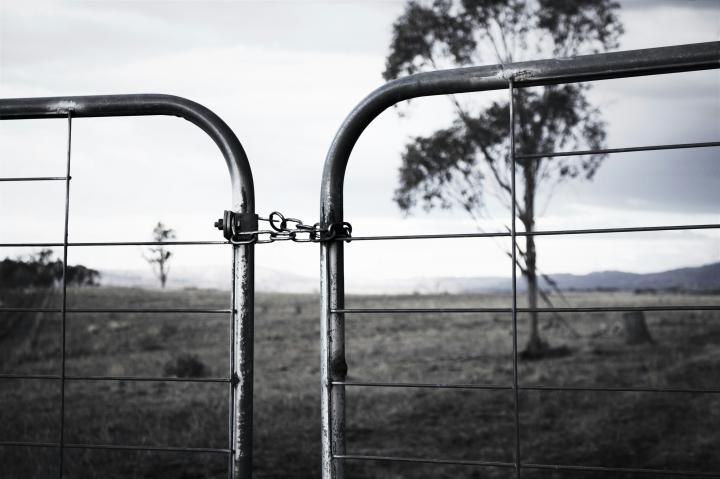 Gate: Credit: Elaine Alex / Unsplash