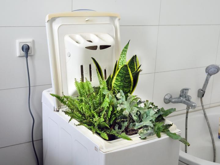 Greenwashing: recognise regulatory uncertainty, industry argues
