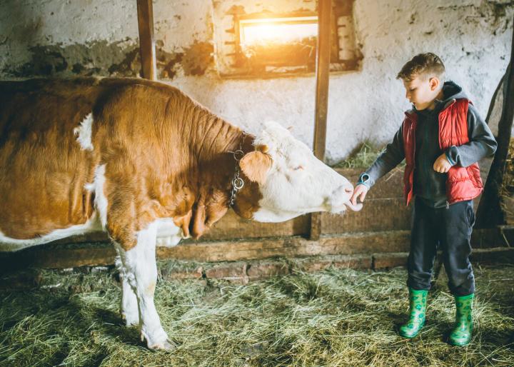 Sustainable diets: A new theme on the menu for investors?