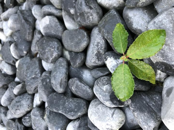 AXA IM launches ‘AXA IM Climate Transition Award’ i.c.w. AXA Research Fund