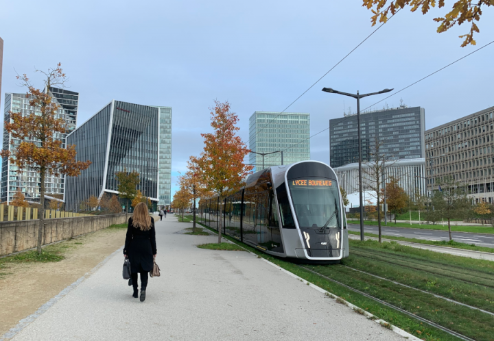 21 new Luxembourg Raifs registered during January