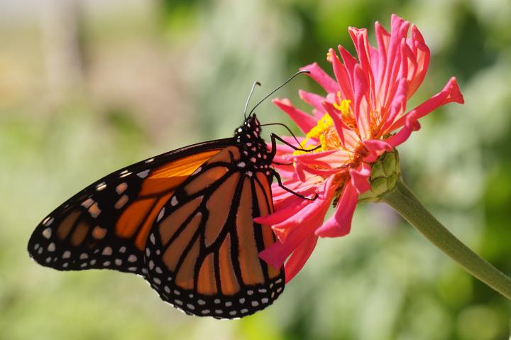 Photo by Mike Lewinski on Unsplash