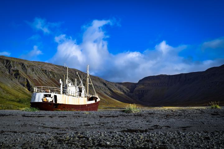 Photo by Rostyslav Savchyn on Unsplash