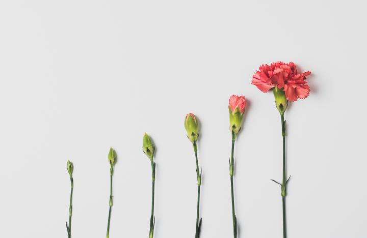 Image via Unsplash.