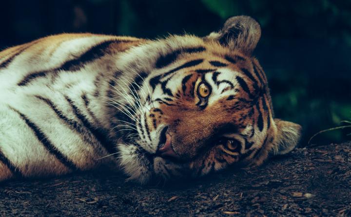Photo via Unsplash. CC BY 2.0
