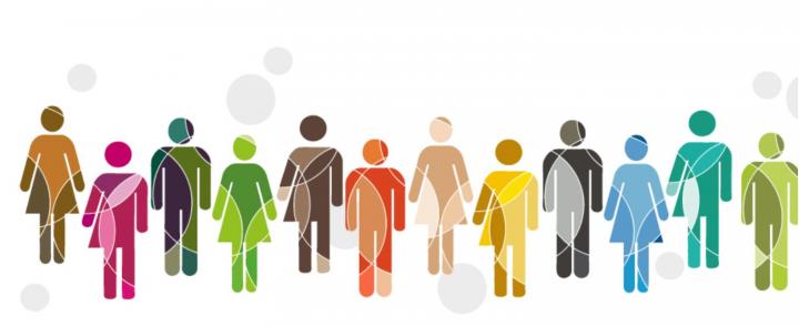 Global Gender Diversity
