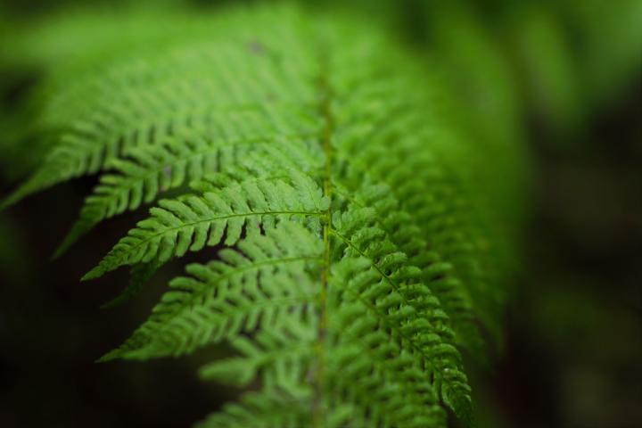 Photo by David Boozer on Unsplash