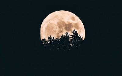 Moonlight